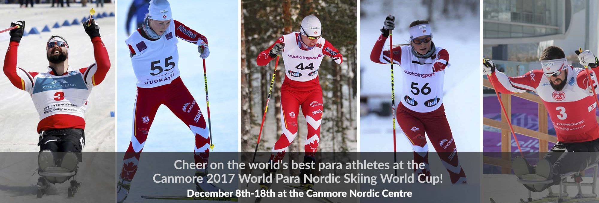 Image result for para nordic world cup canmore