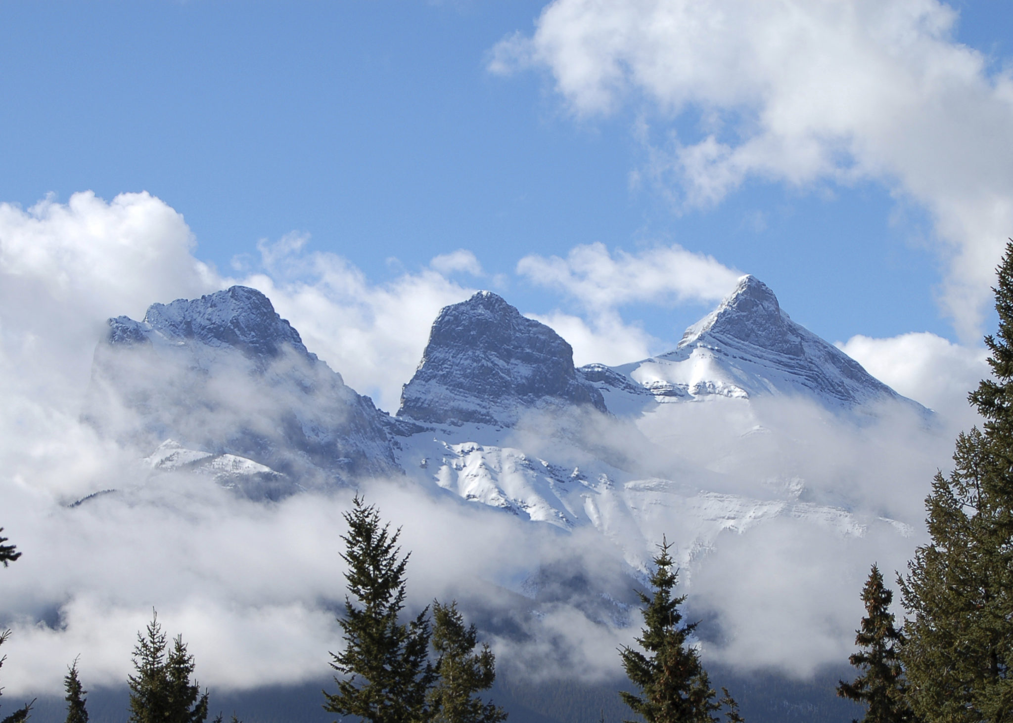 Society Bids to Host 2018 FIS World Cup