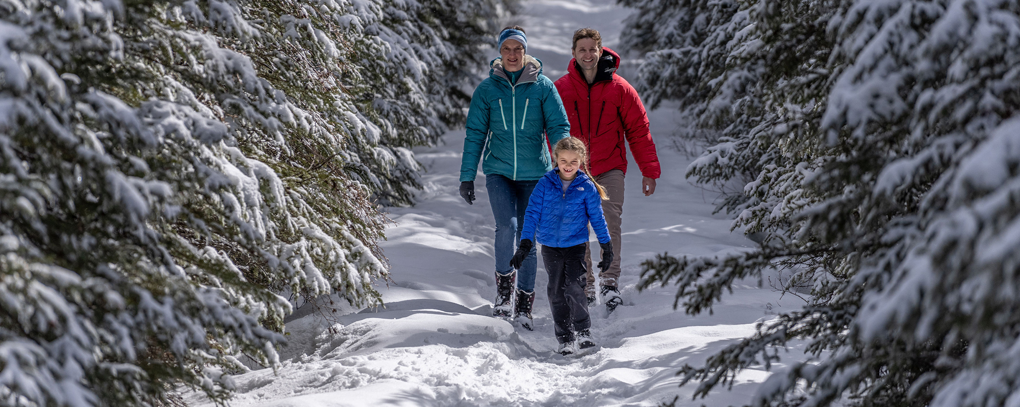 Canmore Hiking